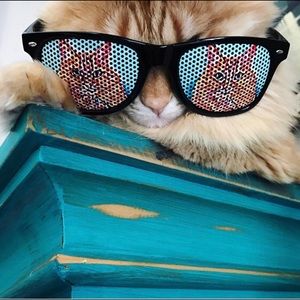 Pop Art Cat Sunglasses